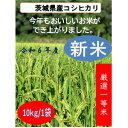 【ふるさと納税】令和6年茨城県産　精米コシヒカリ　10kg【1548869】