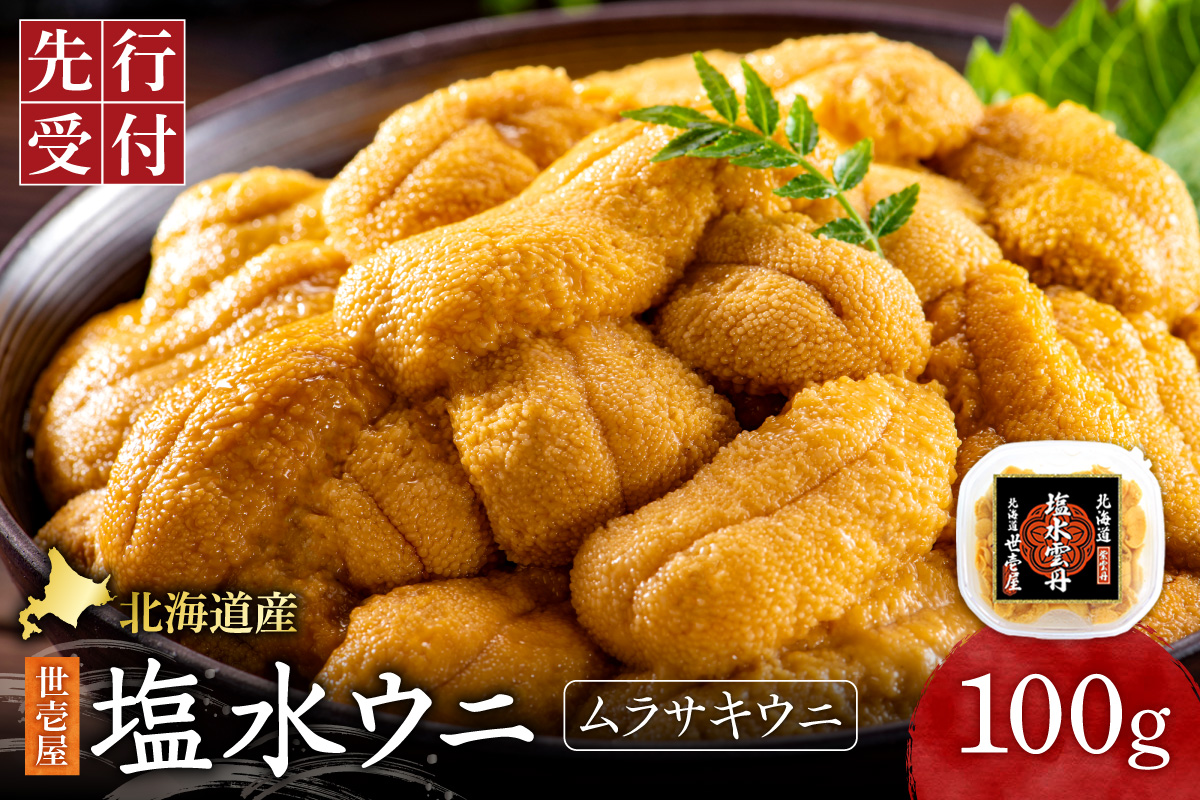 【先行予約】 北海道産　世壱屋塩水ウニ(ムラサキウニ)100g ｜うに 海鮮 魚介 無添加 北海道 札幌市