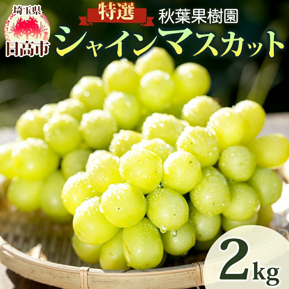 【ふるさと納税】秋葉果樹園 特選 シャインマスカット 2kg 2～4房入り ぶどう 種無し 皮ごと 葡萄 果物 甘み 完熟 フルーツ 旬 もぎたて ギフト 贈答用 お取り寄せ 贈り物 ご褒美 贅沢 特産品 日高市　お届け：2025年9月中旬～10月中旬まで