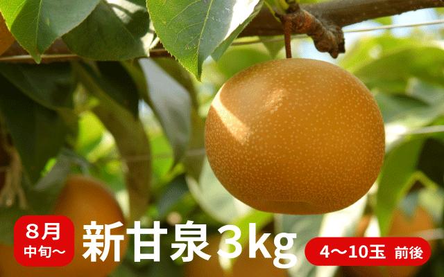 
            プレミアム新甘泉 3kg
          