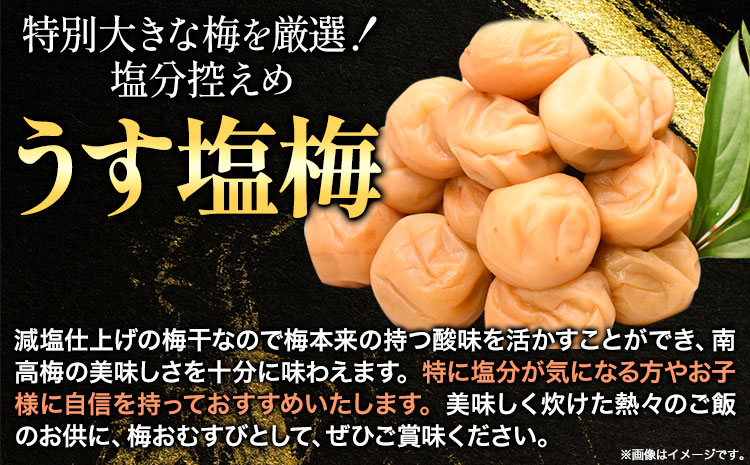 高級南高梅うす塩梅・白干梅計1kg(各500g)網代模様仕上紀州塗箱入り澤株式会社《90日以内に出荷予定(土日祝除く)》梅干し---wsh_swknuussk_90d_22_20000_1kg---｜