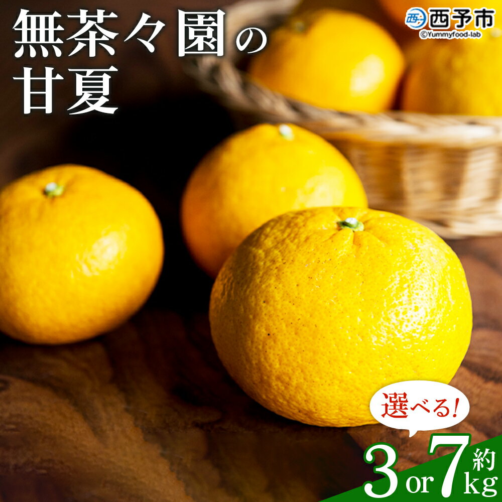 【ふるさと納税】先行予約 ＜無茶々園の甘夏 約3kg／7kg＞ 果物 くだもの あまなつ みかん ミカン 蜜柑 柑橘 フルーツ 選べる内容量 期間限定 季節限定 食べて応援 特産品 愛媛県 西予市 【常温】『2026年3月上旬～5月上旬迄に順次出荷予定』