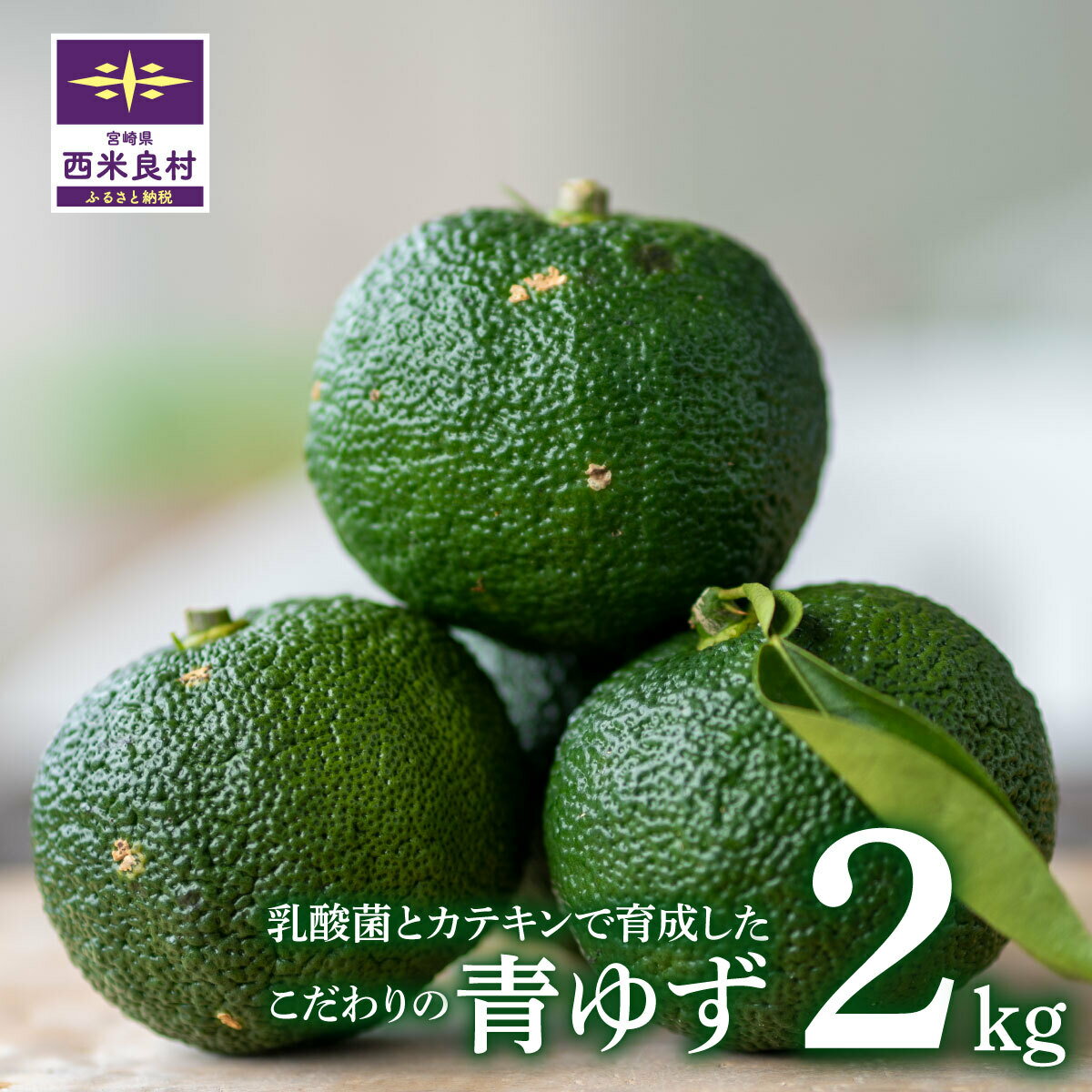【ふるさと納税】乳酸菌とカテキンで育成したこだわりの青ゆず2キロ※8月中旬より発送開始　かんきつ 柑橘 果実 柚子 ユズ ゆず 青柚子 九州産 宮崎県 西米良村