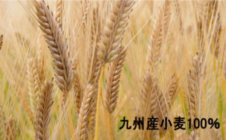 【 国産小麦 100％】島原手延そうめん 1kg / そうめん 素麺 麺 乾麺 / 南島原市 / 野村屋 [SCS004]
