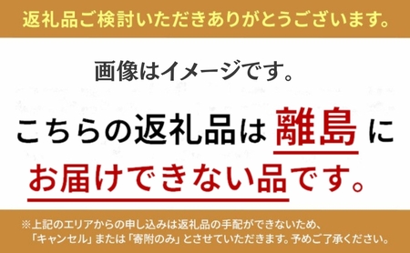 【ふるさと納税】どらやき（10個入り） どらやき　電車　鉄道　鉄オタ　鉄女　鉄道ファン　ことでん　琴平　琴平鉄道　あんこ　あずき　ご当地どらやき ギフト スイーツ デザート おかし お菓子 詰め合わせ