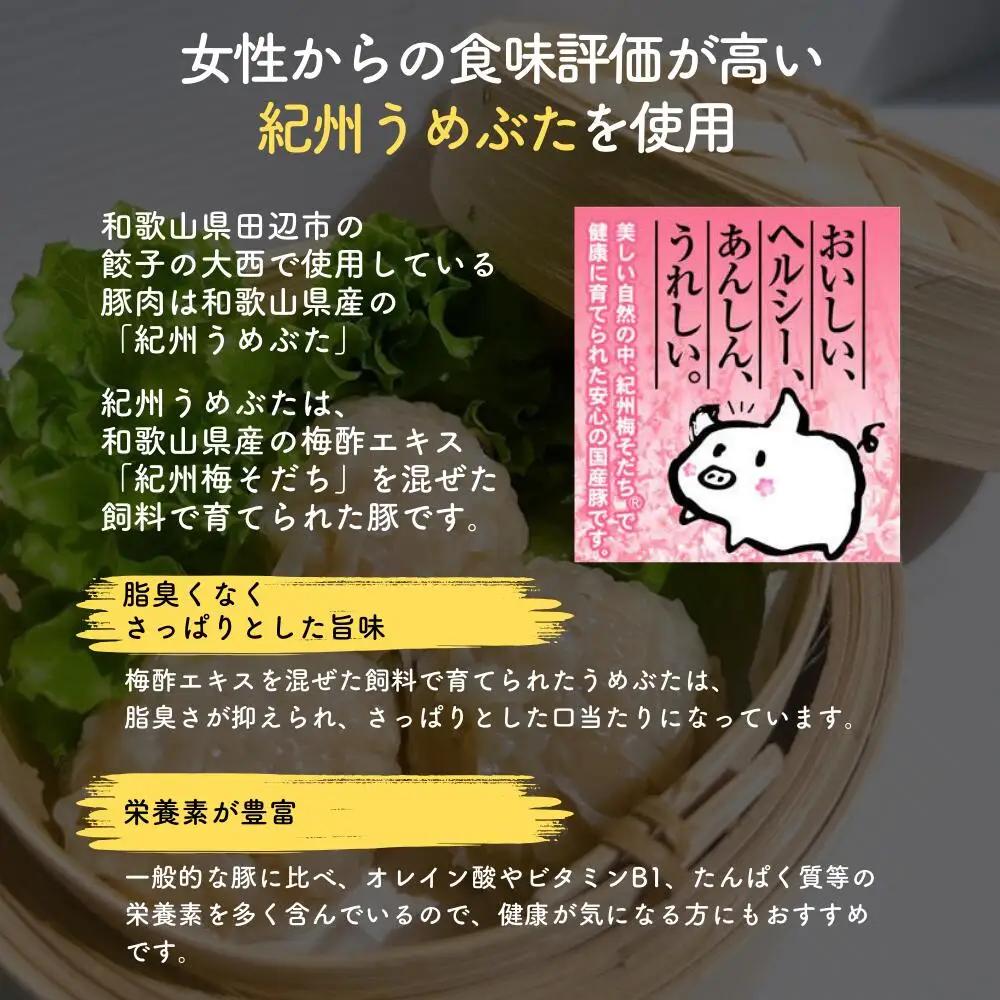 しゅうまい 大西のしゅうまい 20個入り 【gyz006-1】