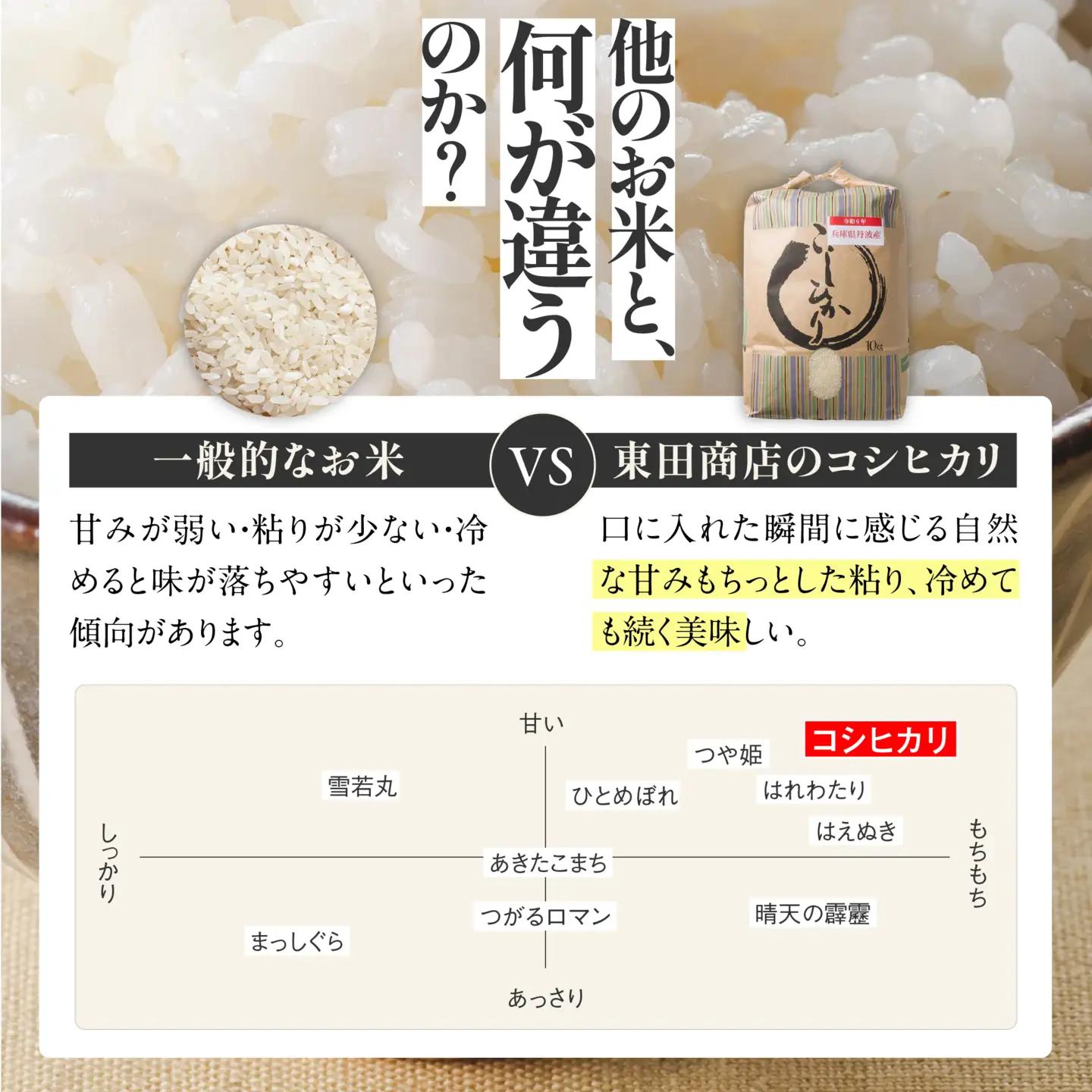 【コシヒカリ】令和7年産 白米20kg【5営業日以内に発送】