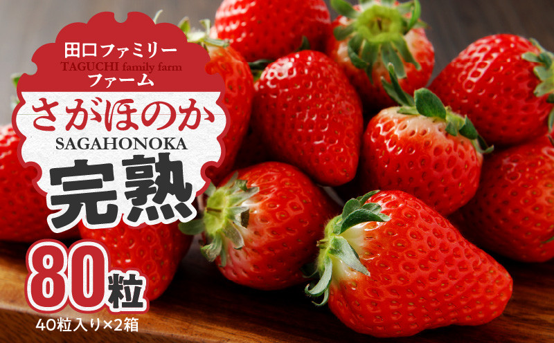 
            【田口ﾌｧﾐﾘｰﾌｧｰﾑ】いちご(さがほのか) 40粒入り×2箱(1月中旬発送開始) N053-YB337
          