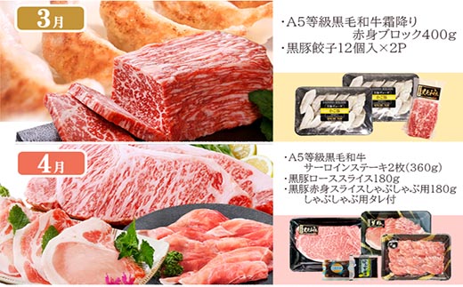 定期便(1年で10回配送)枕崎お楽しみ便(A5等級黒毛和牛・黒豚・黒豚加工品etc)II-6002【1166753】_ ふるさと納税 定期便 牛肉 豚肉 霜降り 焼肉 しゃぶしゃぶ 生姜焼き ステーキ