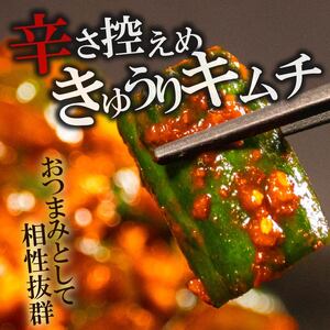 【本場韓国の味】 胡瓜キムチ 500g オイキムチ 冷蔵 手作り かわち屋