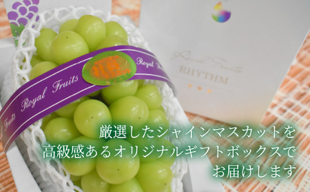【厳選品】大粒シャインマスカット 1房 700g～ (岡山県産) 【KF-B060-03】