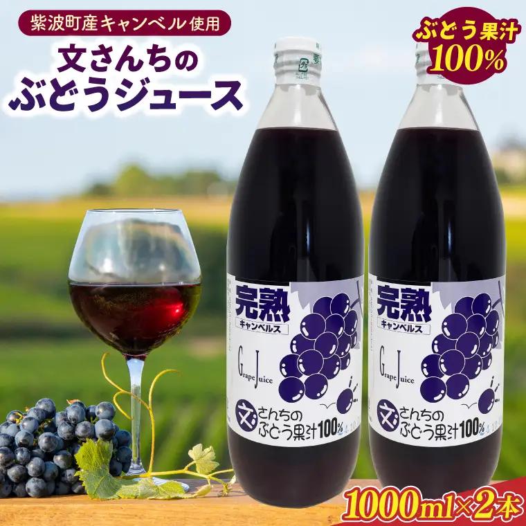 文さんちの完熟ぶどうジュース 1000ml×2本(EH001) ジュース