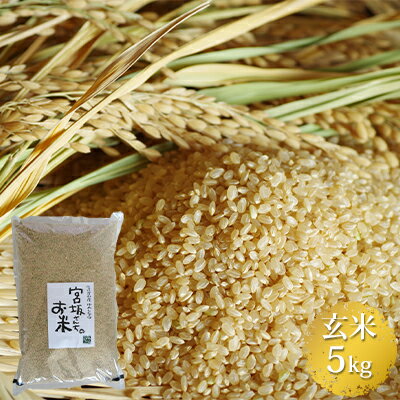 【ふるさと納税】八ヶ岳で育った玄米 ゆめしなの5kg お米