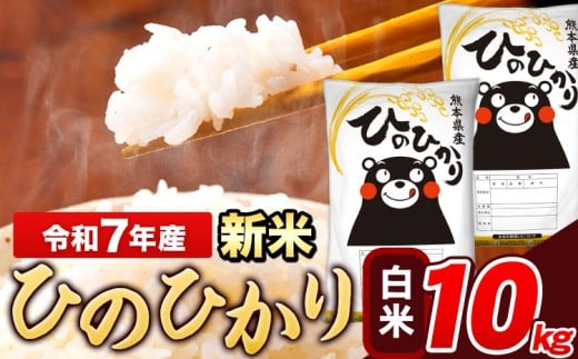 新米 米 令和7年産 ひのひかり 白米 10kg 《10月中旬-12月末頃出荷》 5kg×1袋 熊本県産 米 精米 ひの 長洲町
