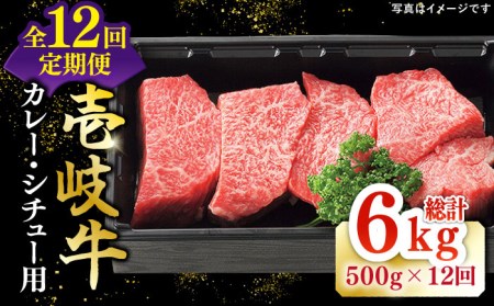 【全12回定期便】 特選 壱岐牛 すね肉 500g（カレー・シチュー用）《壱岐市》【太陽商事】[JDL084] 冷凍配送 黒毛和牛 A5ランク 肉 牛肉 黒毛和牛 ブランド牛 カレー シチュー 赤身 チマキ 煮込み ブロック 144000 144000円