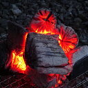 【ふるさと納税】【火つき・火力・火持ちよしの国産高級木炭】岩手切炭（GI）6kg　なら堅一級