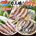 【ふるさと納税】おまかせ定期便 イカ 三昧！ 【定期便の回数をお選びいただけます：2ヶ月/3ヶ月/6ヶ月/12ヶ月】 その時期の一番良いイカをお届けします 急速冷凍 活〆 刺身 ヤリイカ ケンサキイカ アオリイカ 【地物 海産物 新鮮 魚介 海鮮 イカ丼 焼きいか 真空パック】