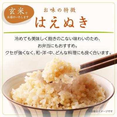 ふるさと納税 川西町 令和7年産　山形県産　はえぬき　玄米　10kg |  | 01