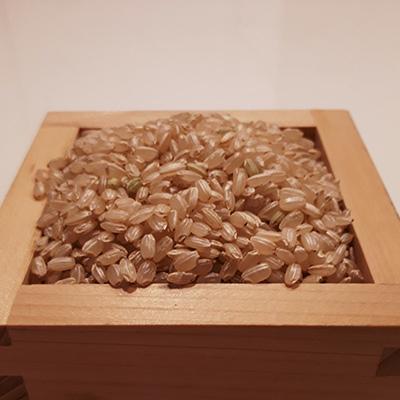 ふるさと納税 広陵町 令和6年産 色彩選別加工済大和米 奈良県広陵町ヒノヒカリ玄米30kg |  | 03