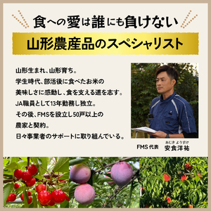 【2026年産】東根季節めぐり定期便 - 東根の四季をやさしく味わう、ちょうど良い６回コース 山形県 東根市 さくらんぼ もも シャインマスカット お米 ラ・フランス りんご hi074-023