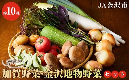★【数量限定】JA金沢市 季節の加賀野菜・金沢地物野菜セット  石川 金沢 加賀百万石 加賀 百万石 北陸 北陸復興 北陸支援