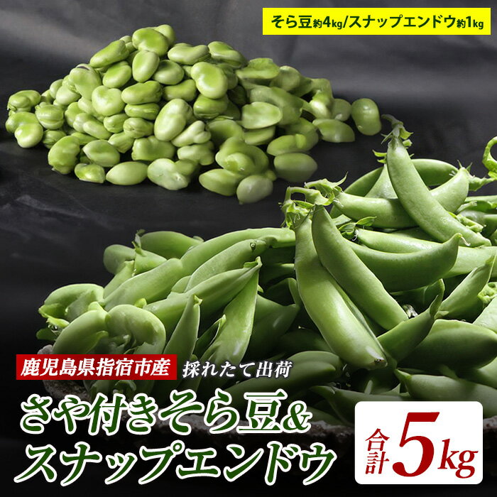 【ふるさと納税】＜先行予約受付中！2026年1月中旬以降順次発送＞鹿児島県指宿産！国産のそら豆さや付き(約4kg)とスナップエンドウ(約1kg)の合計約5kg！新鮮な状態でお届け！ 野菜 旬 そら豆 そらまめ ソラマメ スナップエンドウ 大容量 【アグリスタイル】