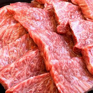 近江牛 赤身焼肉用【450g】【A4A5等級 】 未経産雌限定【FO66U】