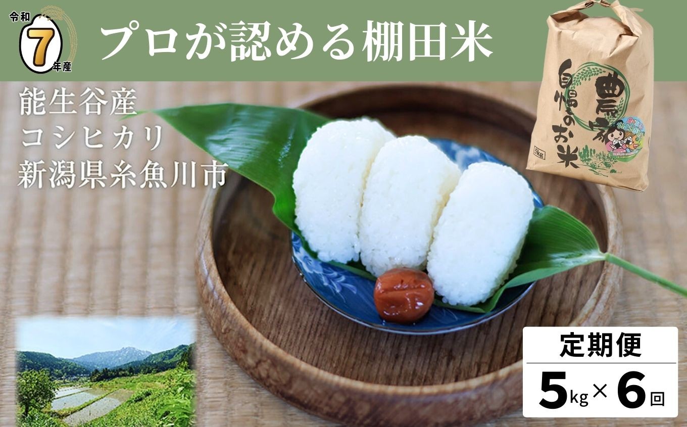 
            【2025年10月初回発送】令和7年産新米予約【定期便】新潟県能生谷産コシヒカリ 5kg×6ヶ月 計30kg プロも認める棚田米 農家直送 2025年産 JATs有限会社【新潟県能生谷産 農家直送 米 お米 ご飯 ライス ふるさと納税米 食品 人気 おすすめ こしひかり ギフト 5キロ 毎月配送 精米 白米 人気 精米 6回 6か月 先行予約】
          