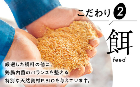 【定期便6ヶ月】《毎月12日と27日にお届け》御殿たまご 赤たまご 24個入×月2回（破損保障含む）（6個入モウルドパック×4P入）◇ ｜ 卵 タマゴ 玉子 たまごかけご飯 生卵 鶏卵 卵焼き 国産 