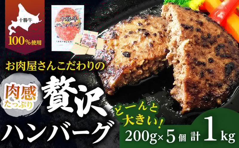 
            北海道 十勝牛 手ごねハンバーグ 200g×5個 【セット 牛100% 国産牛 牛肉 ハンバーグ 惣菜 小分け 冷凍 牛肉100% 大きい 国産 北海道 十勝 幕別 ふるさと納税 送料無料 】[№5749-1438]
          