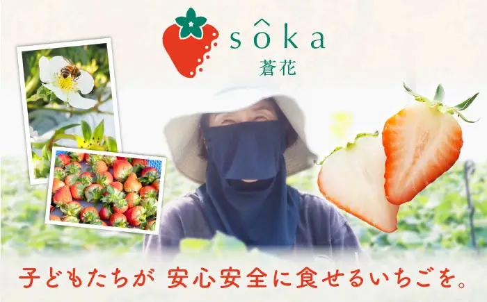 【先行予約】いちごセット（ゆめのか・恋みのり） [JEO001] 