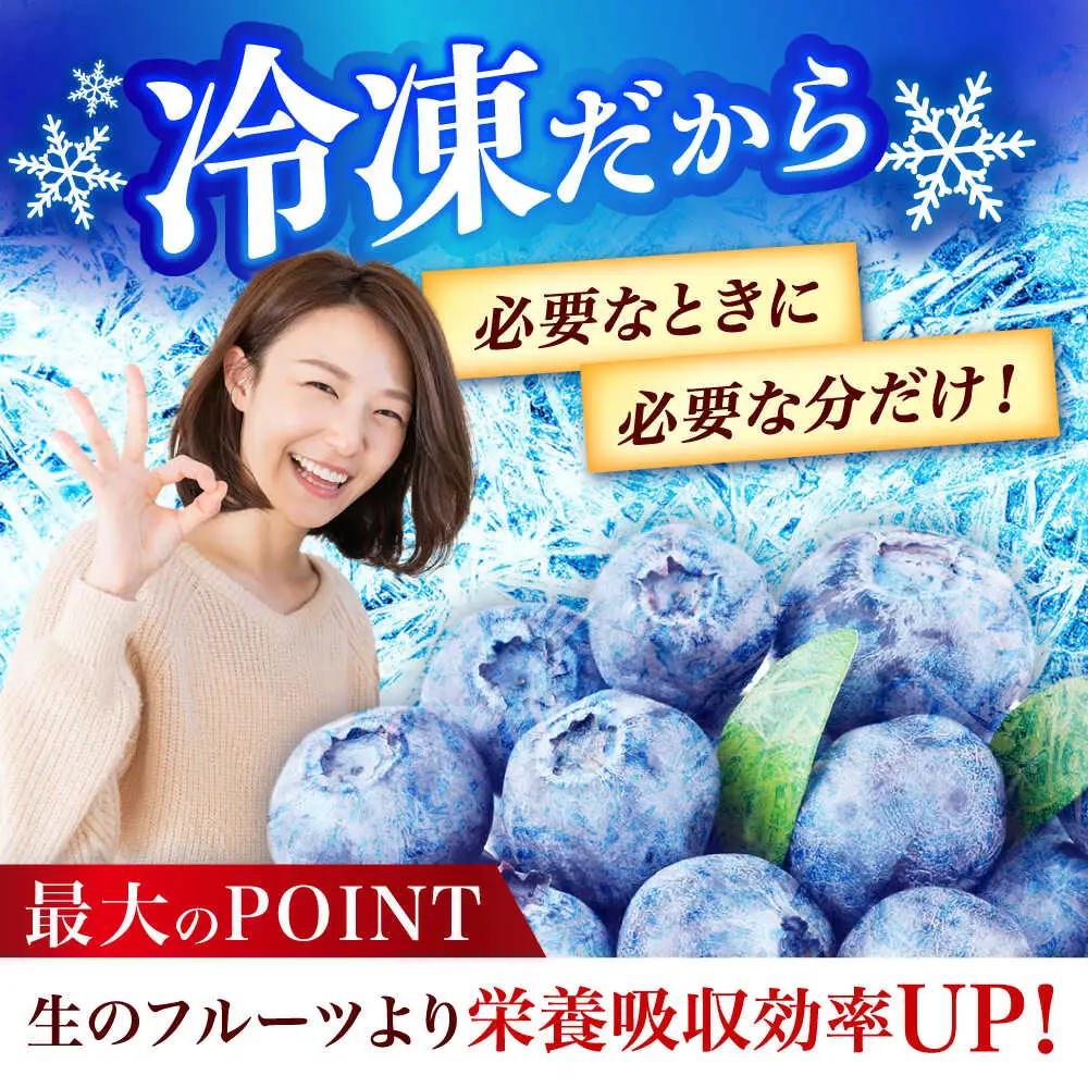 国産 ブルーベリー 1kg [ABAK001] フルーツ ベリー