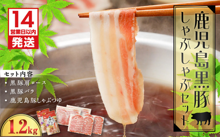 【7営業日以内に発送】鹿児島 黒豚 しゃぶしゃぶ セット 1.2kg K025-007_02 肉 豚 豚肉 ロース バラ 鍋 限定 数量限定 ミヤタ ふるさと納税 おすすめ ランキング プレゼント ギフト スピード配送 スピード発送 最短 すぐ届く お急ぎ 最短7営業日