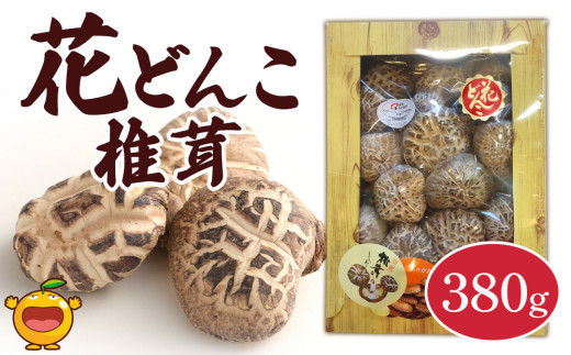 大分産椎茸（しいたけ）最高級椎茸 花どんこ椎茸 380g | 花どんこしいたけ 乾燥椎茸 シイタケ 乾し椎茸 しいたけ 大分産シイタケ 山のあわび 干し椎茸 しいたけ 干椎茸 菌床しいたけ きのこ ギフト 国産 産地直送 津久見市
