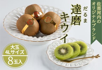 佐那河内の達磨キウイフルーツ(8玉入り化粧箱)　《2025年12月中旬から2026年2月中旬頃まで発送予定》　【配送不可地域あり】※離島 [大きい 大玉 8玉 4L 希少 だるま 高級 限定 佐那河内 さなごうち キウイフルーツ 贈答 進物 ギフト