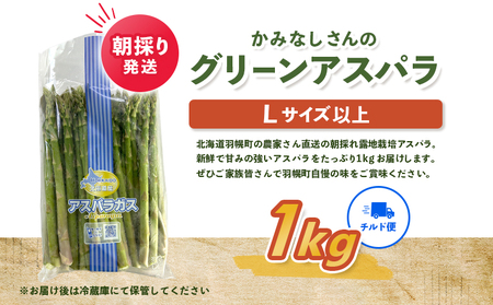 【2026年産先行受付】朝採り発送 かみなしさんのグリーンアスパラ 1kg（Lサイズ以上）【32002】