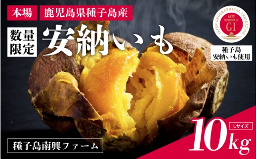  【先行予約】安納いも さつまいも 10kg (Lサイズ)【種子島南興ファーム】種子島 焼きいも 焼き芋 本場 安納芋  さつま芋 甘い ねっとり スイーツ おやつ グルメ お取り寄せ おせち 人気 種子島産 返礼品 南種子町 鹿児島 かごしま 【観光物産館トンミー市場】