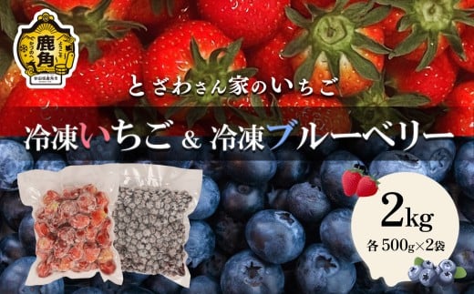 鹿角産 冷凍 いちご & ブルーベリー 2kg（各500g 合計4袋）サイズMIX【とざわさん家のいちご】旬 県産いちご 国産いちご 苺 イチゴ ブルーベリー 国産ブルーベリー サイズMIX 真空 真空パック 小分け グルメ 故郷 秋田 あきた 鹿角市 鹿角 送料無料