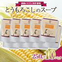 【ふるさと納税】 とうもろこしのスープ (250g×計10袋) 『欧風レストラン 西洋葡萄』 山形県 南陽市 [2005]