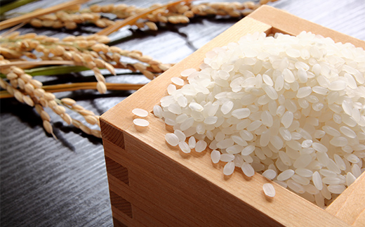 【令和6年産】先行予約 極みのはえぬき（精米）1kg 米 お米 おこめ 新米 ふるさと納税 山形県 新庄市 F3S-2088