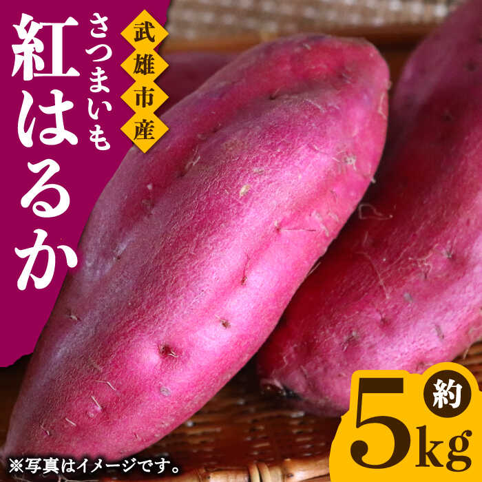 【ふるさと納税】【先行予約】佐賀県武雄市産 さつまいも 紅はるか 約5kg /おかわりのうえん [UDD001] サツマイモ 芋 いも 野菜