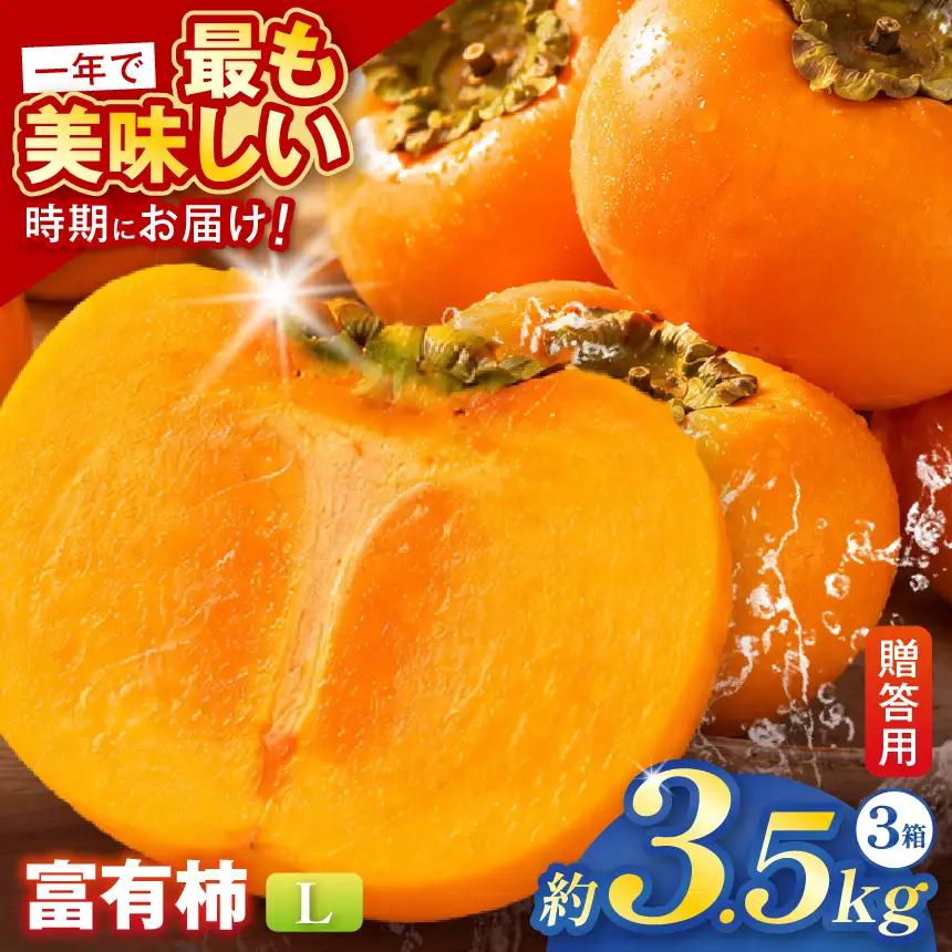 【贈答用】先行予約 令和8年11月中旬順次発送 富有柿 ( Lサイズ ・ 14個 ／ 3.5kg ) 3箱 | さのっち農園