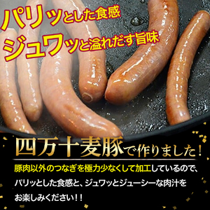 【平野協同畜産】ウインナー計27本 ＆ フランクフルト5本（合計1,250g） 国産 ウインナー ソーセージ／Ahc-A02