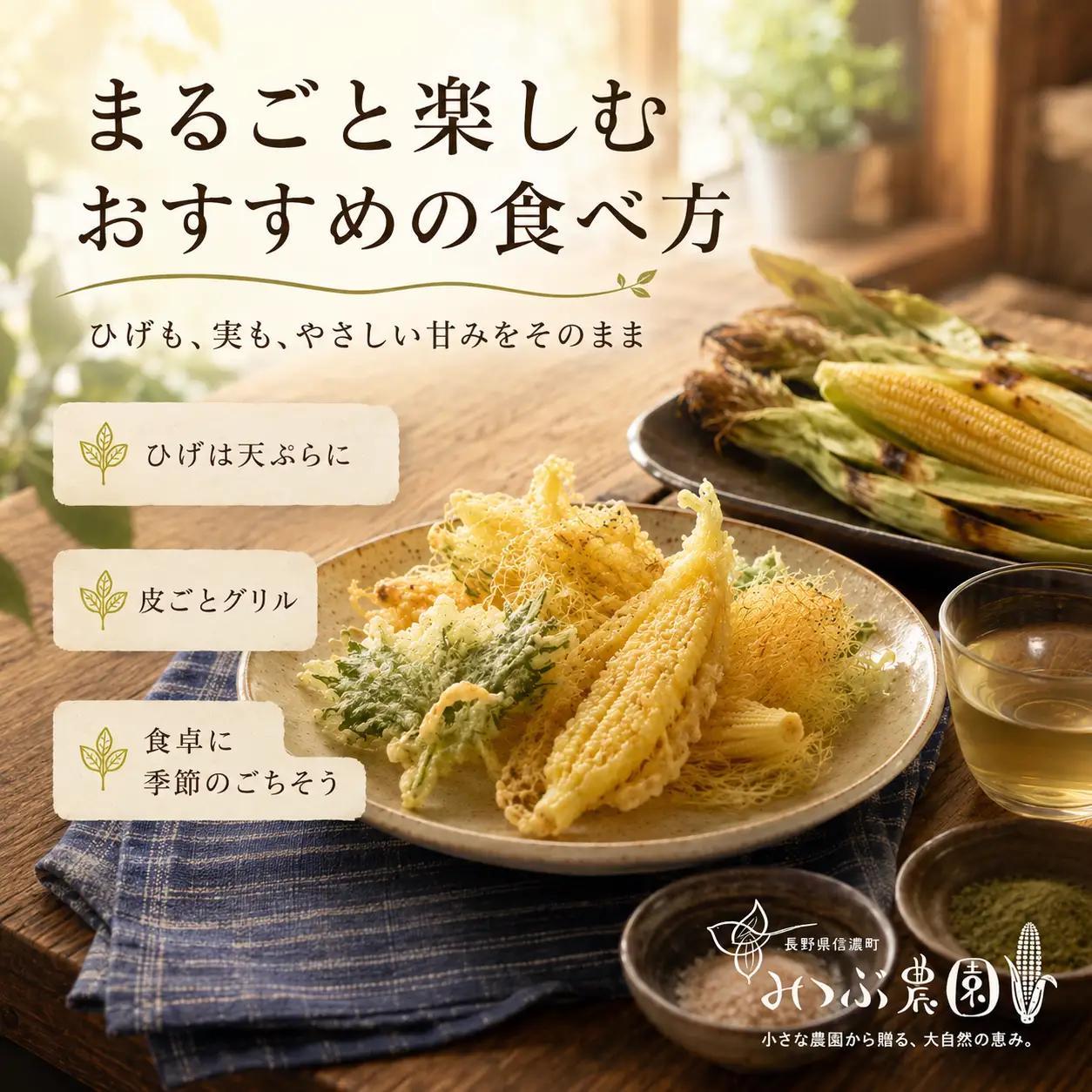 【令８年７月７日迄】朝採れヤングコーン20本｜ひげまで甘い！自然循環農法で育んだ旬を直送