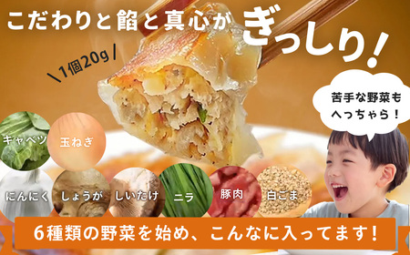 極み餃子 25個（1袋）｜金輝餃子 冷凍 手作り 国産食材