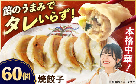 冷凍 焼餃子 60個 餃子餃子餃子餃子餃子 [AKED003]
