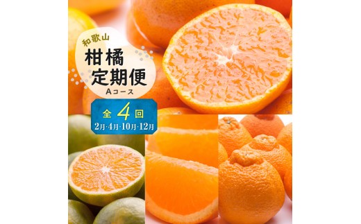 
                  季節の柑橘定期便A【偶数月・計4回】【和歌山県有田】_ZH7020
                