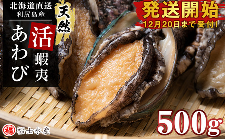 利尻島産 直送！天然 活えぞあわび 500g 鮑 海鮮 冷蔵 お刺身 魚介 お祝い【福士水産】