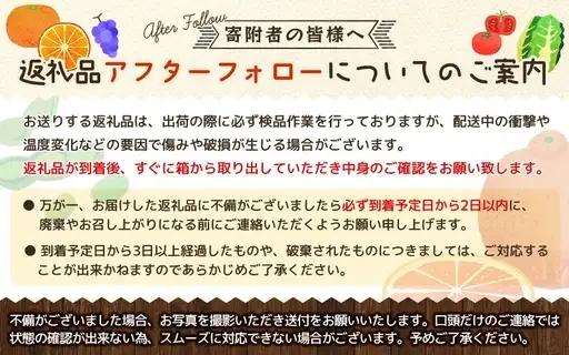 セミノール 石本果樹園 約4kg 約30～35玉前後 セミノール【min008B】