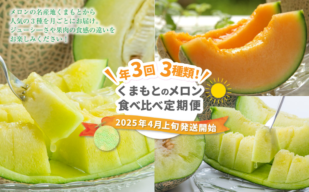 【年3回定期便】 くまもと の メロン 食べ比べ 定期便 合計5玉 果物 くだもの フルーツ 【2025年4月下旬発送開始】